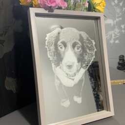 Photo Engraved Mirror Portrait Etched Black Framed Stand Decor Personalised Grey Wood White Box Home, Art, Dog Pet Family Print Memorial - thumbnail 2
