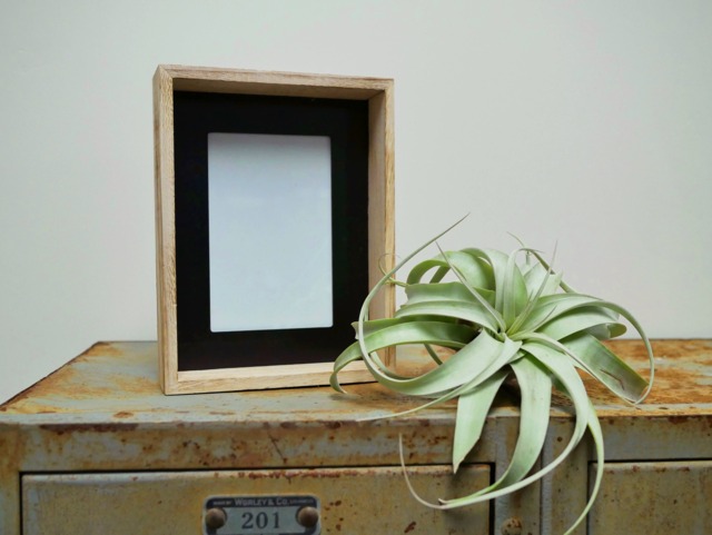 Raw Wood & Matte Black Picture Frame - image 1