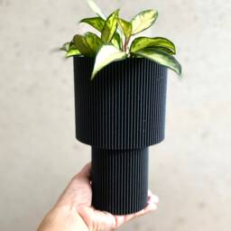 Tall Black Wood Finish Planter Mid Century Modern Pedestal - thumbnail 2