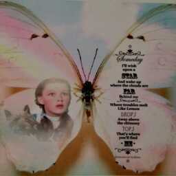 Judy Garland Wizard Of Oz Butterflies 3D Wall Art Decals, Home Gift - thumbnail 2