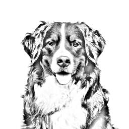 Bernese Mountain Dog - Wooden Stand For Candles/Pens With The Image Of A Dog New Collection - thumbnail 2