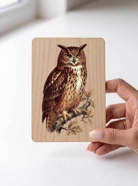 Eagle Owl Art Print - Vintage Illustration Large Wall Pine Wooden Postcard - image 1