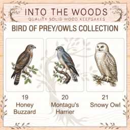 Eagle Owl Art Print - Vintage Illustration Large Wall Pine Wooden Postcard - thumbnail 4