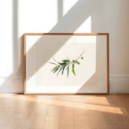 Olive Branch Limited Edition Giclee Print Botanical Watercolour Art - thumbnail 3