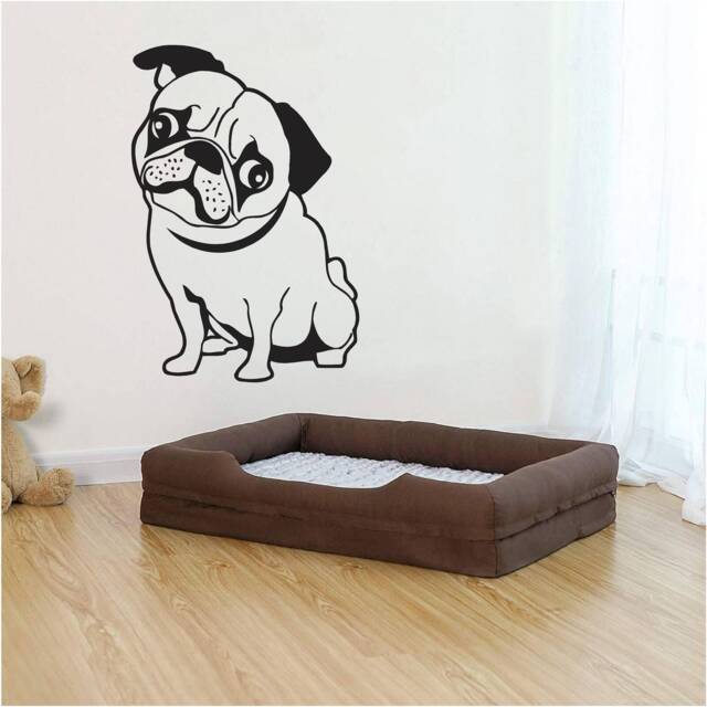 Confused Pug Vinyl Wall Art, Decal, Sticker, Transfer, Mural, Removable, Decor, Rent Friendly, Interior, Exterior, Full - 0977 - image 1