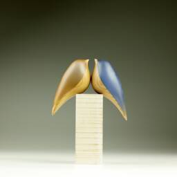 Duo Love Birds - 46 - thumbnail 1