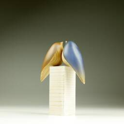 Duo Love Birds - 46 - thumbnail 4