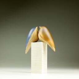 Duo Love Birds - 46 - thumbnail 2