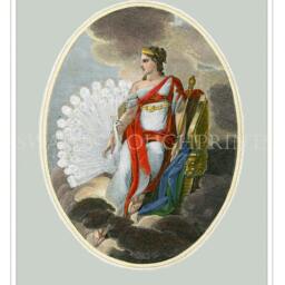 Juno Goddess Of Weddings Roman Wall Art Decor Love & Marriage Myths Legends White Peacock - thumbnail 2
