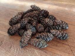 Pine Cones, Douglas Fir, Natural Craft Supplies, Wreath Making, Christmas & Autumn Natural Decorations, Rustic Wedding - thumbnail 1