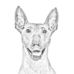 xoloitzcuintli, Mexican Hairless Dog - Wooden Stand For Candles/Pens With The Image Of A Dog New Collection - thumbnail 2