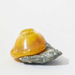 Handmade Blown Glass Vase With Rock By Reko Sullivan, Artist
