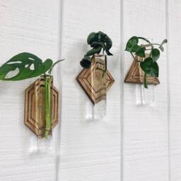 Propagation Wall Hanging - Hydro Planter Geometric Station Test Tube - thumbnail 2