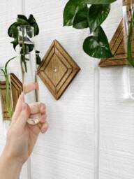 Propagation Wall Hanging - Hydro Planter Geometric Station Test Tube