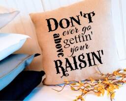 Above Your Raising 18 Or 20 Inch Custom Southern Pillow Cover