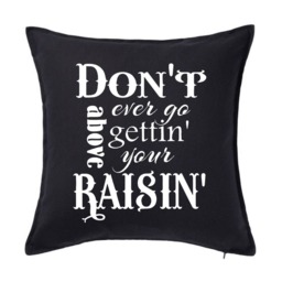 Above Your Raising 18 Or 20 Inch Custom Southern Pillow Cover - thumbnail 4
