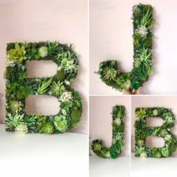 Moss Yoga Pose Sign Faux Succulent Greenery Wall Art - thumbnail 4