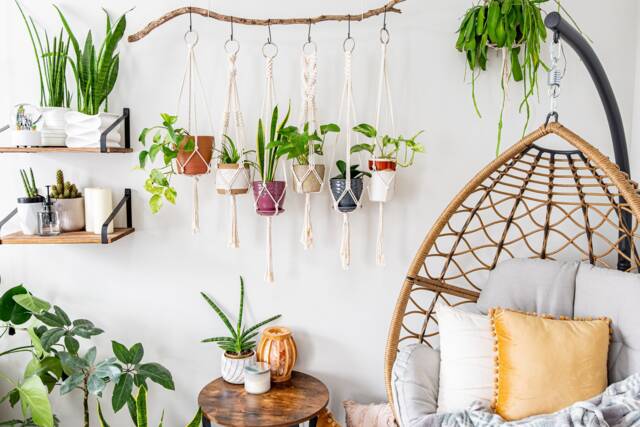 Macrame Plant Hanger, Hanging Planter Indoor, Small Large Pot Holder, Boho Home Decor Ideas, Houseplant Wall Planter, Art - image 1