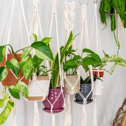 Macrame Plant Hanger, Hanging Planter Indoor, Small Large Pot Holder, Boho Home Decor Ideas, Houseplant Wall Planter, Art - thumbnail 3