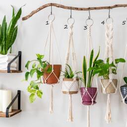 Macrame Plant Hanger, Hanging Planter Indoor, Small Large Pot Holder, Boho Home Decor Ideas, Houseplant Wall Planter, Art - thumbnail 2