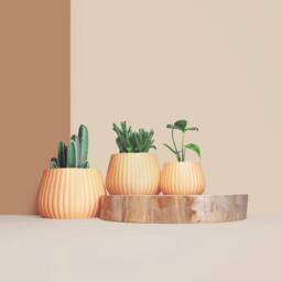 Planter Pot, 3D Printed Cactus, Succulent Planters , Mid Century Idea Gift For Home, Home Decor - thumbnail 3