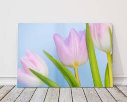 Pink Tulip Bouquet Wall Art - Spring Floral Canvas Print, UK Botanical Home Decor - thumbnail 1