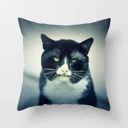 Cat Pillow - Halloween Decoration Scary Creepy Photo 16x16 18x18 20x20 Cover - thumbnail 1