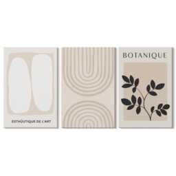 Canvas Set Of 3 Wall Art - Boho Delicate Posters Plant Motifs, Beige Large, Abstract Hanging Piece - thumbnail 2