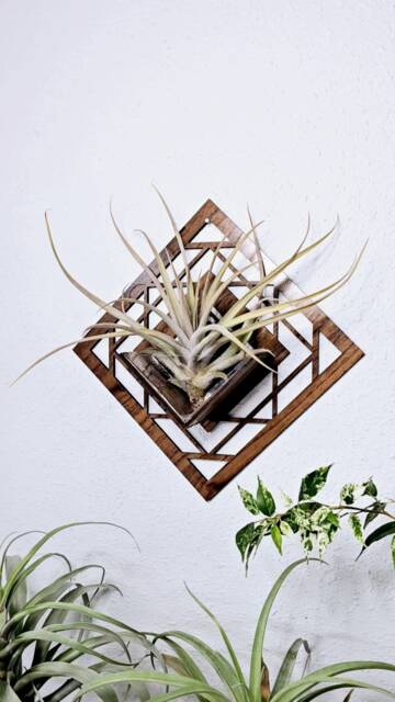 Geometric Wood Air Plant Holder - Wall Hanging Planter, Laser Cut Decor - image 1