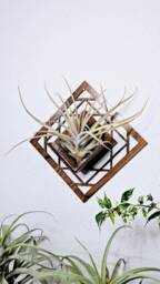 Geometric Wood Air Plant Holder - Wall Hanging Planter, Laser Cut Decor - thumbnail 1
