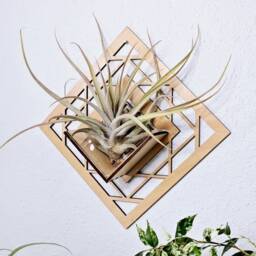Geometric Wood Air Plant Holder - Wall Hanging Planter, Laser Cut Decor - thumbnail 3