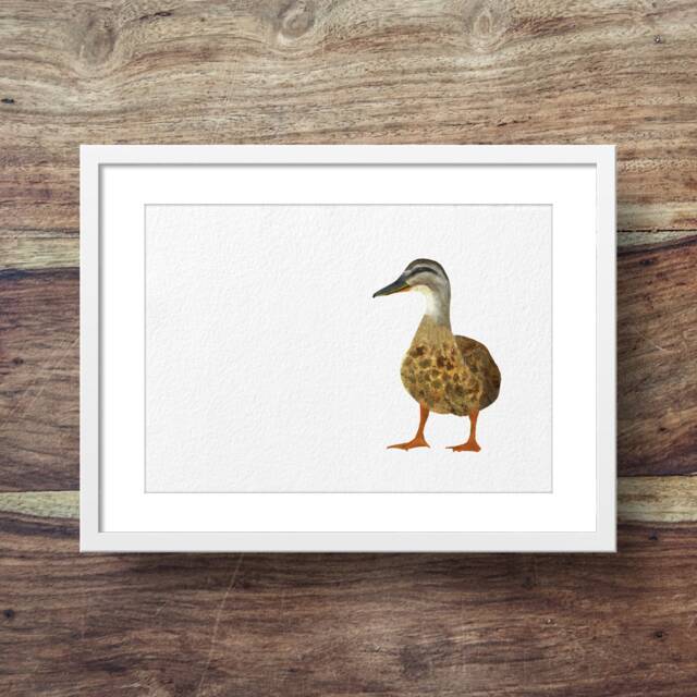 Mallard - Mother Duck, Duck Art Great Easter, Mother's Day & Or Nursery Gift - image 1