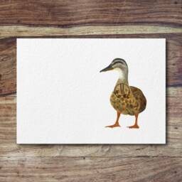 Mallard - Mother Duck, Duck Art Great Easter, Mother's Day & Or Nursery Gift - thumbnail 2