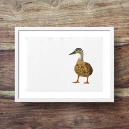 Mallard - Mother Duck, Duck Art Great Easter, Mother's Day & Or Nursery Gift - thumbnail 1