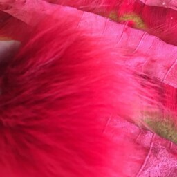 Coyote Fur Dyed Red Parka Ruff Fur Strip Hood Replacement Made in Usa - thumbnail 3