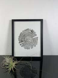 Pine Post Woodcut Print, Tree Ring Art 11 X 14 Handmade Arbor Wall Hanging
