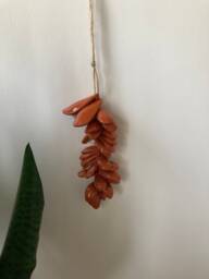 Terracotta Ceramic Petal Wall Hanging Wabi Sabi Pottery Decor