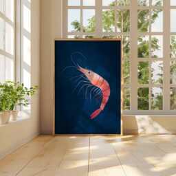 Shrimp Poster, Cute Seafood Wall Art, Pink Prawn Illustration On Navy Blue, Ocean Kitchen Decor, Nautical Animal Print, Sea Creature Art - thumbnail 3