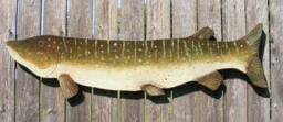 Musky Folk Art Hand Painted Large Wood Fish Cabin - thumbnail 1