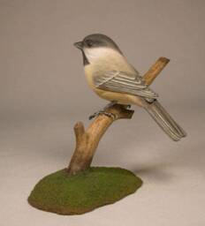 Black-Capped Chickadee Hand Carved Wooden Bird - thumbnail 2