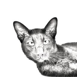 Havana Brown - Wooden Stand For Candles/Pens With The Image Of A Cat New Collection - thumbnail 2