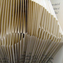 Dolphin - Endangered Species Sea Creatures Ocean Life Mammals Beach Theme Folded-Book Art Paper Sculpture Unique Gift - thumbnail 3