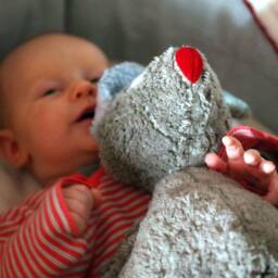 Bio Mouse - Olaf, Very Romantic - thumbnail 4