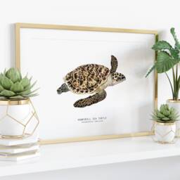 Hawksbill Sea Turtle Print - Eretmochelys Imbricate Living Room Poster Watercolor Turtles Wall Art Gift Bathroom, Nursery, Bedroom D??cor - thumbnail 3