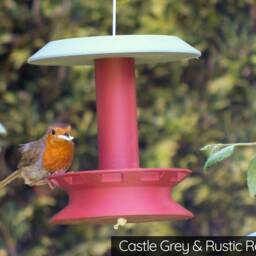 Carousel Bird Feeder - thumbnail 2