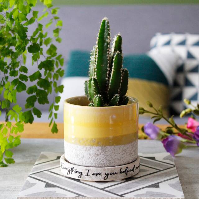 Hand Glazed Plant Pot & Saucer For Mum - Mam Birthday Gift Mummy Lover Planter Mom - image 1