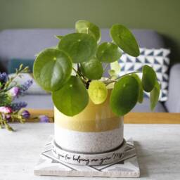 Hand Glazed Plant Pot & Saucer For Mum - Mam Birthday Gift Mummy Lover Planter Mom - thumbnail 2
