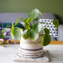 Hand Glazed Plant Pot & Saucer For Mum - Mam Birthday Gift Mummy Lover Planter Mom - thumbnail 3