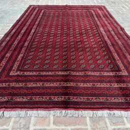6x9 Afghan Bukhara Wool Carpet - Artisan Handwoven Traditional Design Large Area Rug For Lounge, Hallway Or Office Interior - thumbnail 3