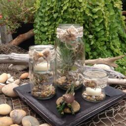 Rustic Beach Wedding Unity Candle Set Terrarium Decor With Shells & Driftwood - thumbnail 4